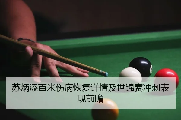 su-bing-tian-bai-mi-shang-bing-hui-fu-xiang-qing-ji-shi-jin-sai-chong-ci-biao-xian-qian-zhan-2-420.jpg