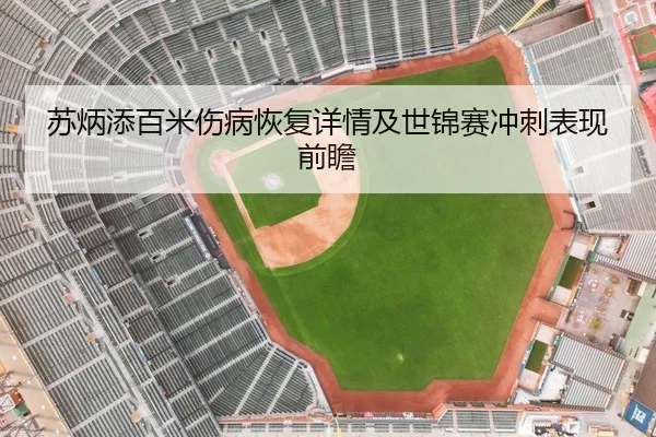 苏炳添百米伤病恢复详情及世锦赛冲刺表现前瞻